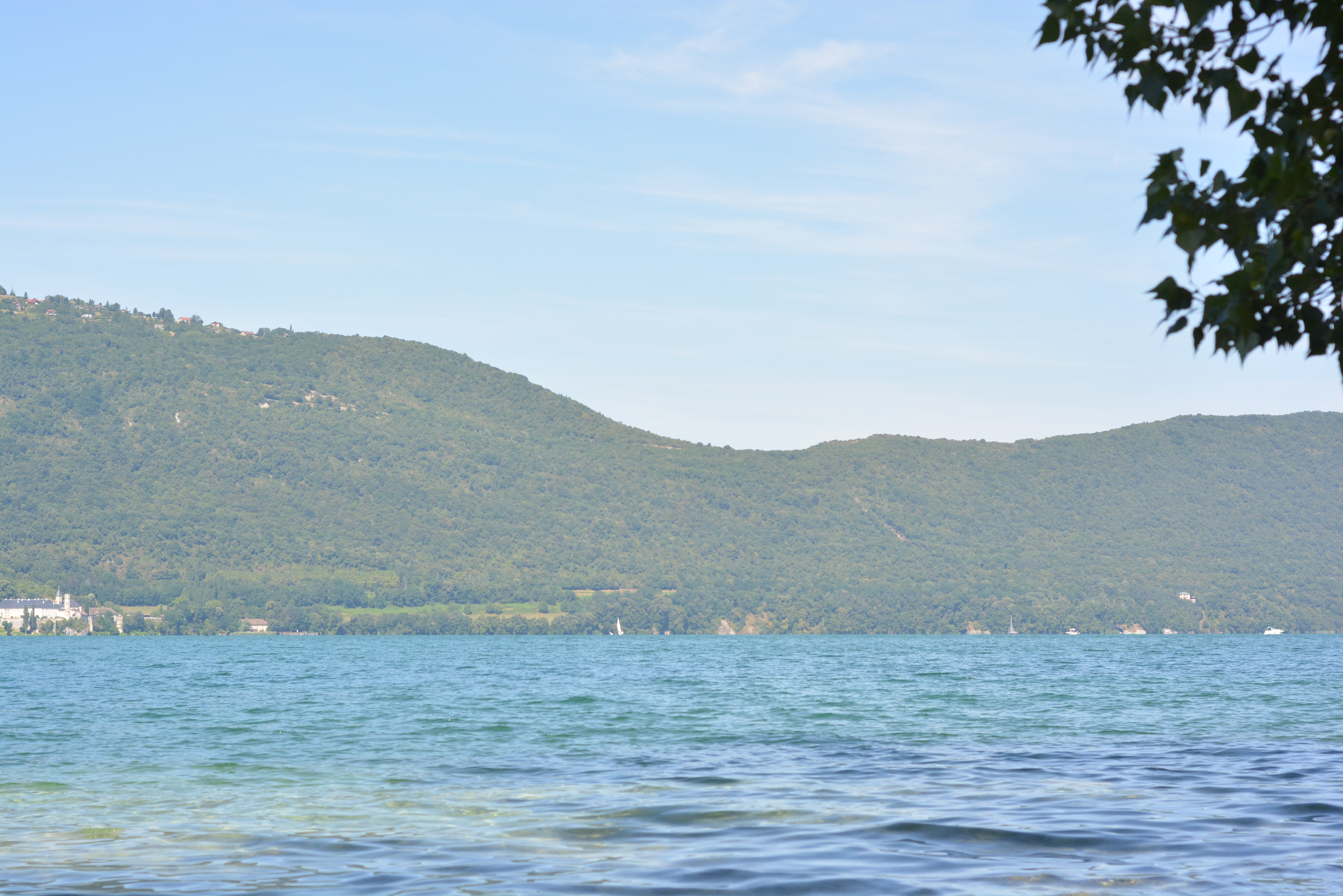 DSC_0296.JPG