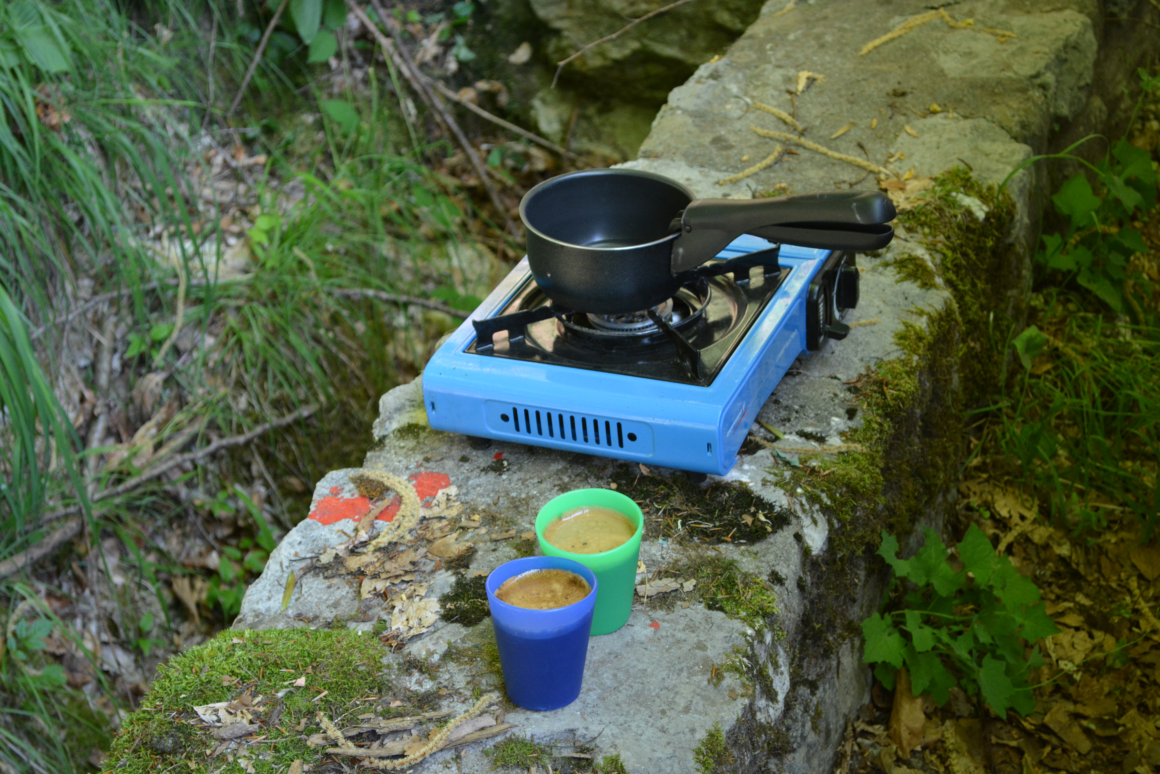 DSC_0337.JPG